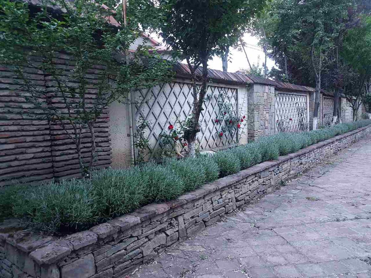Rare House With Garden Villa Tbilisi Bagian luar foto