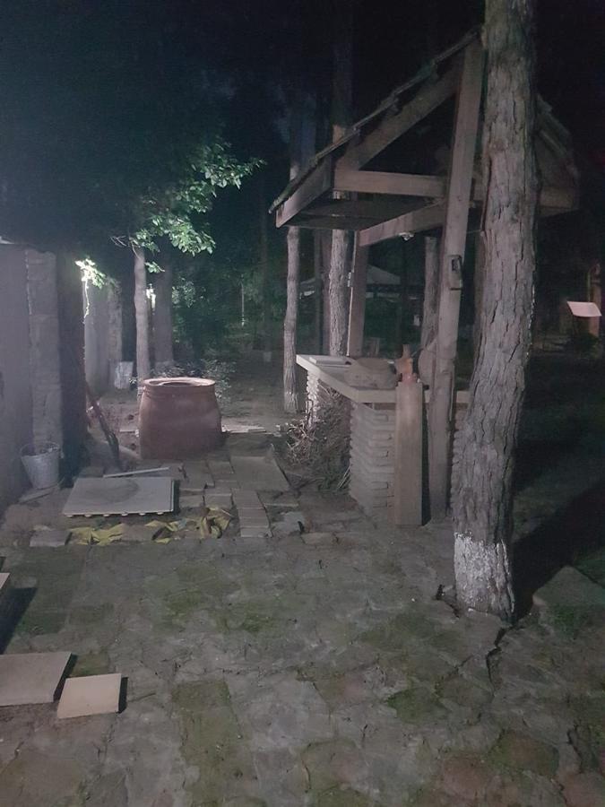 Rare House With Garden Villa Tbilisi Bagian luar foto