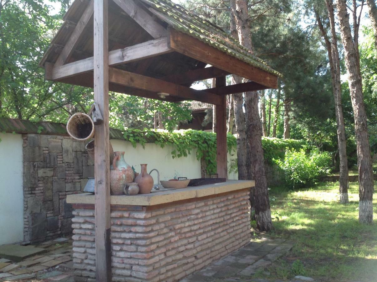 Rare House With Garden Villa Tbilisi Bagian luar foto